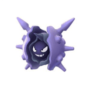 cloyster