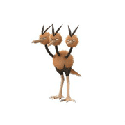 dodrio