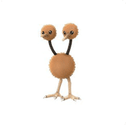 doduo