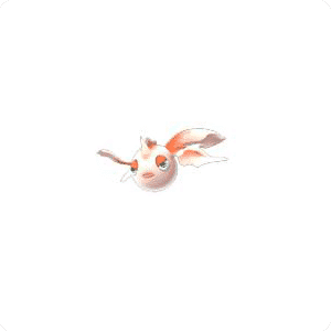 goldeen