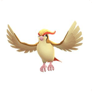 pidgeot