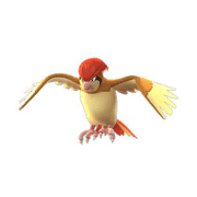 pidgeotto