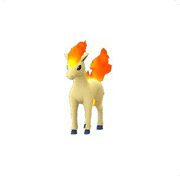 ponyta