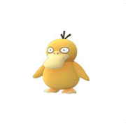 psyduck