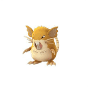 raticate